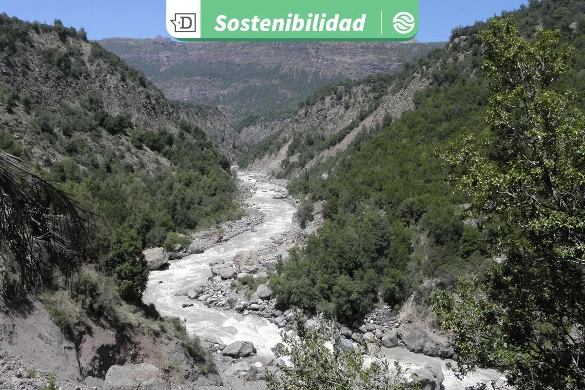 Regular relaves mineros y ampliar zonas de protección de ribera con vegetación nativa puede disminuir transporte de contaminantes