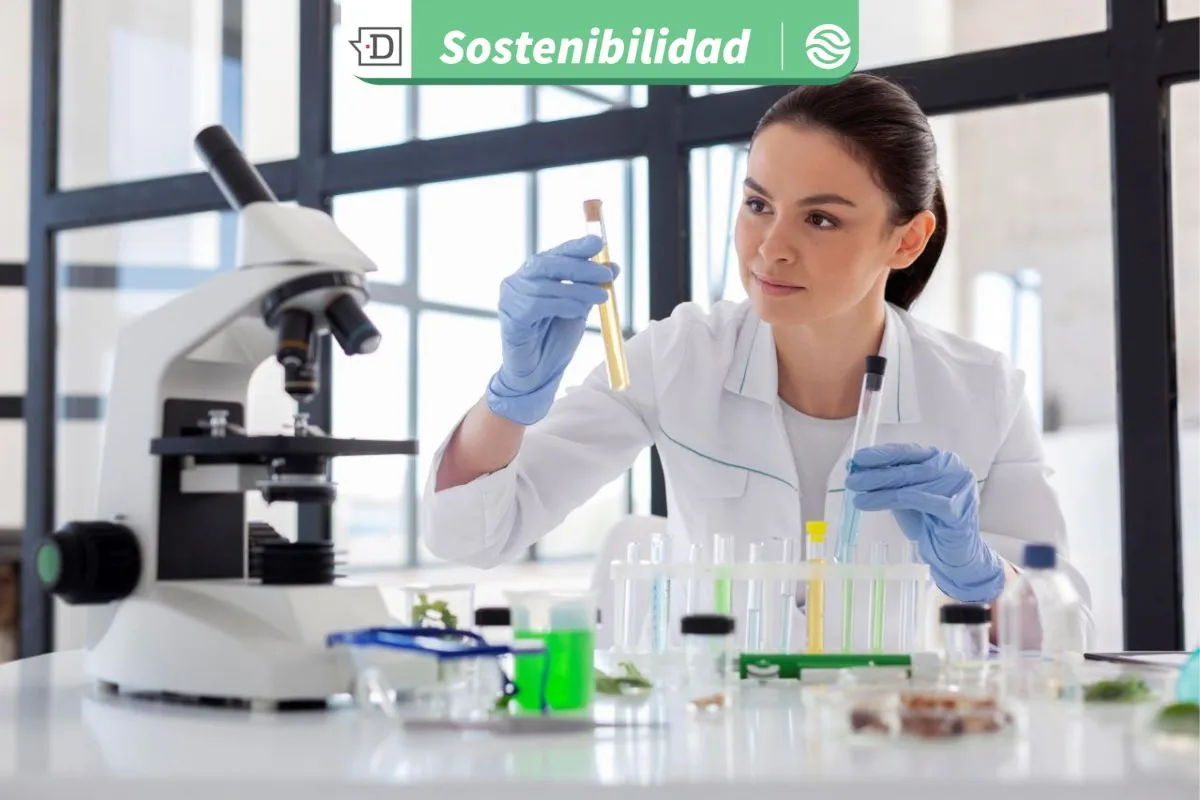 Académica advierte: 