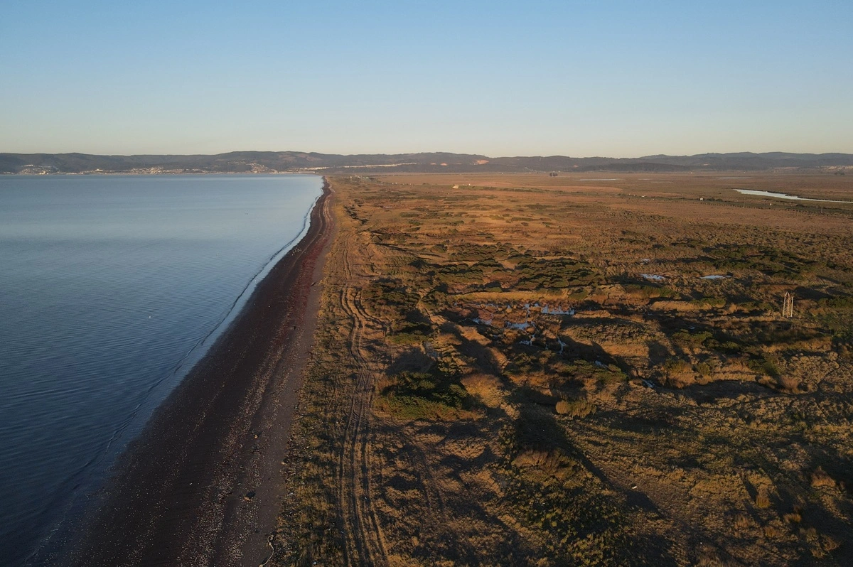 Humedal urbano Rocuant Andalién en Talcahuano.