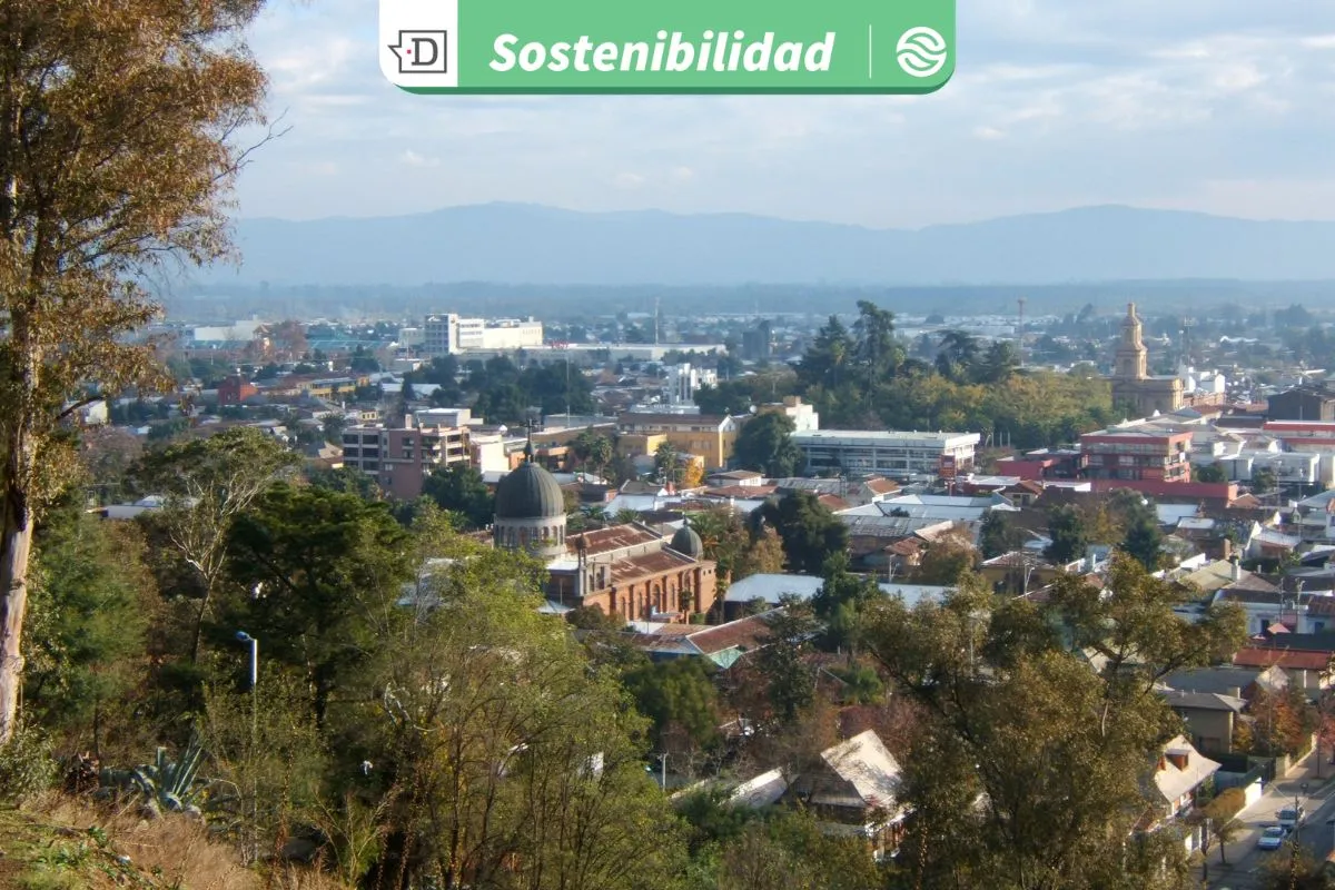 Curicó en vías de ser sustentable: Busca enfocarse en la crisis climática, contaminación y pérdida de biodiversidad