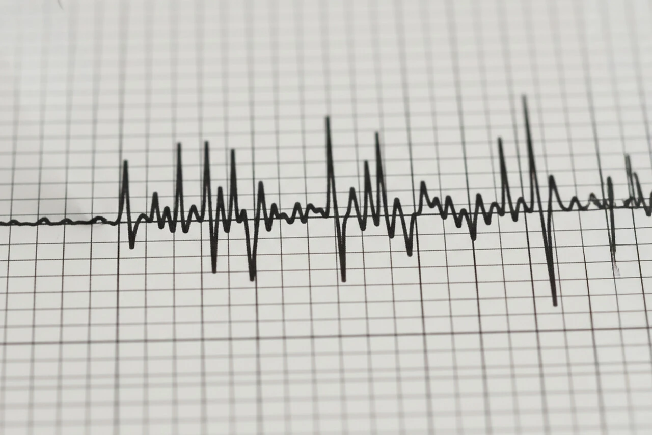 VIDEO| Los registros del fuerte sismo 6,5 en Huasco: Se percibió hasta en Argentina