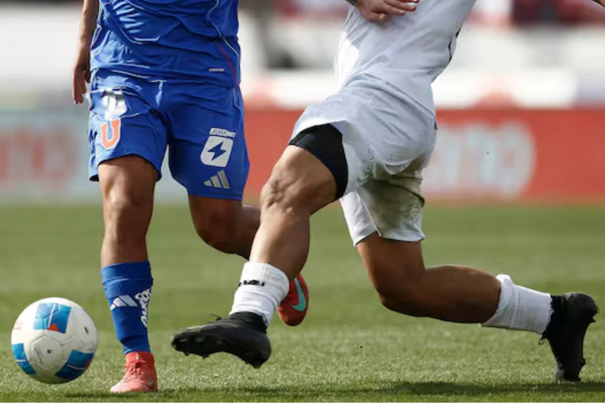 Presidente Kast pone suma urgencia a proyecto que acaba con multipropiedad de las Sociedad Anónimas Deportivas Profesionales