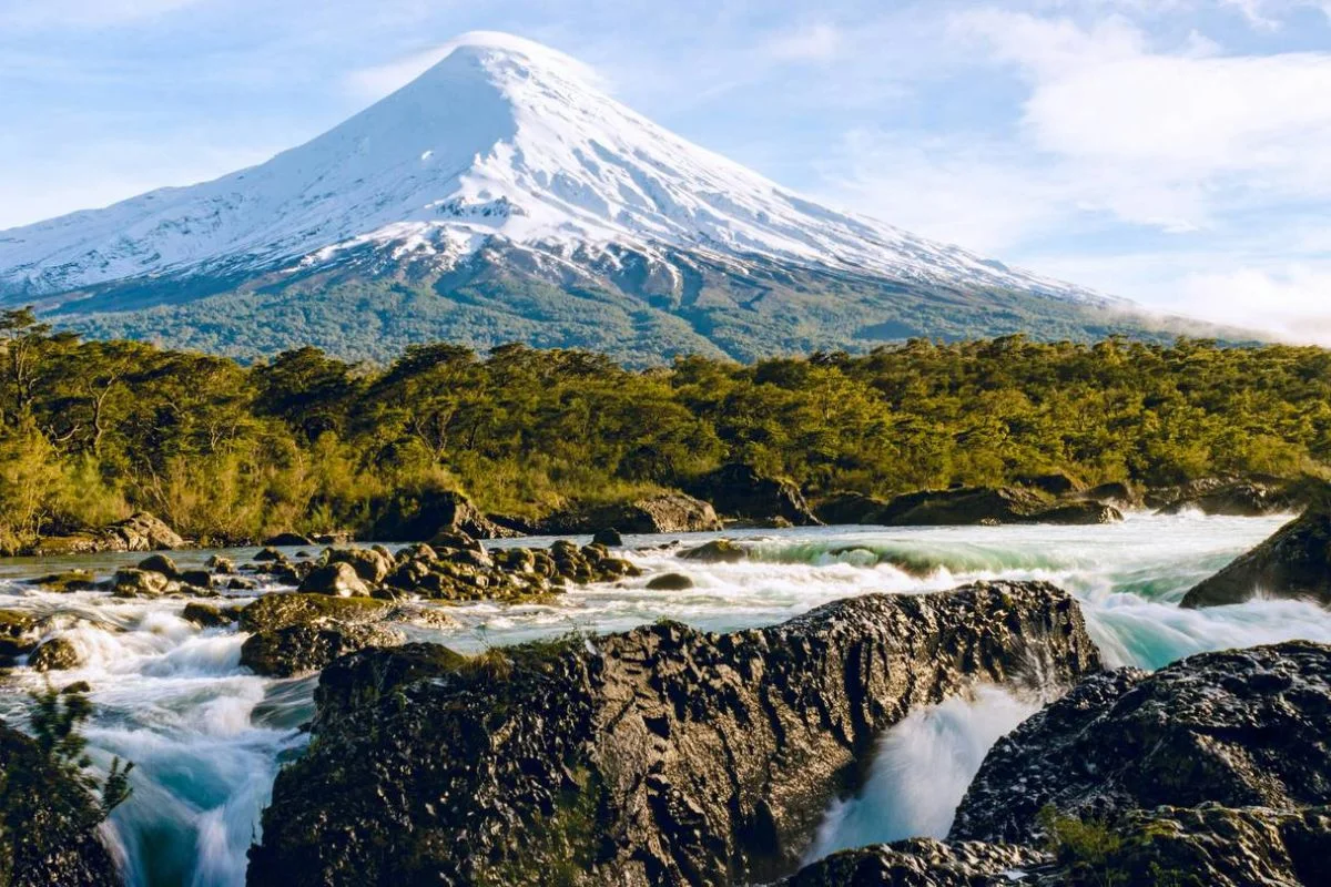 Tras motosierra ambiental de Kast: Organizaciones fijan encuentro este sábado para definir estrategia de acción