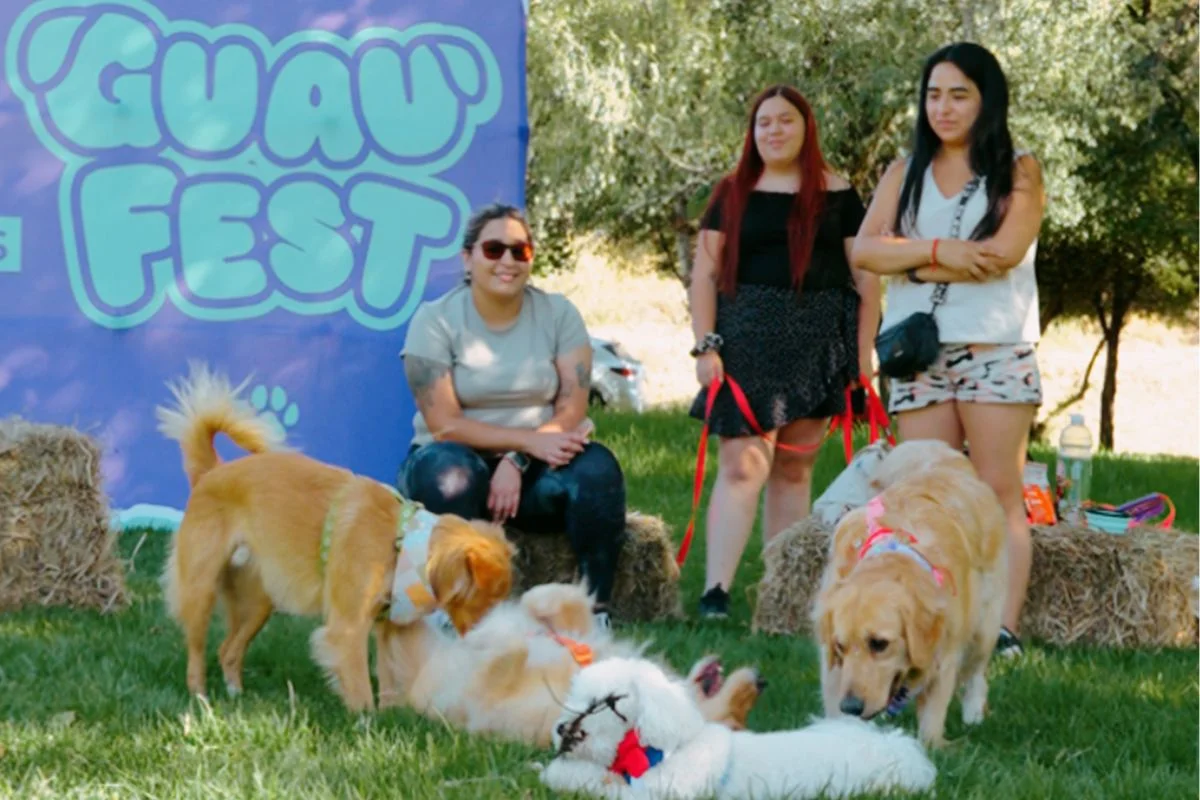 Juegos, piscina y yoga: GuauFest invita a perros y sus dueños al Parque Padre Hurtado para jornada de diversión