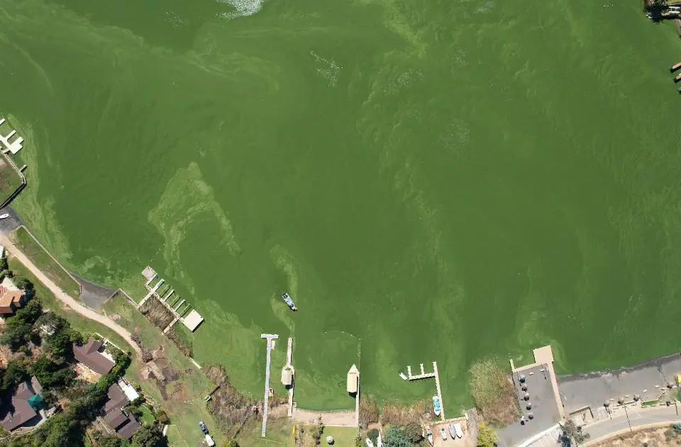 Descontaminación del lago Vichuquén: Gobierno inicia proceso tras retiro de decreto para 