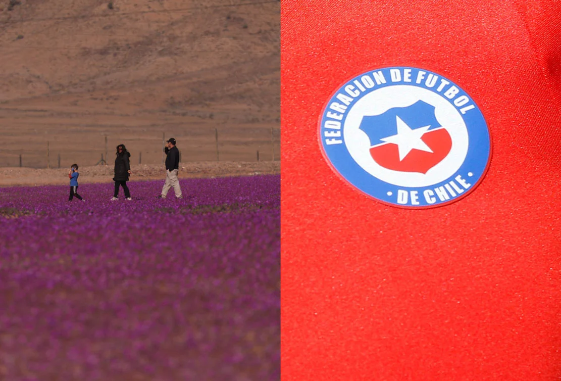 El Desierto Florido es homenajeado en la nueva camiseta que tendrá la Selección Chilena