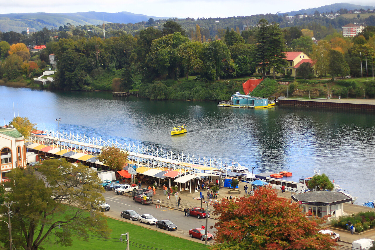 Día Mundial del Agua: Valdivia será epicentro de actividades como cine, música, poesía, arpilleras y deporte