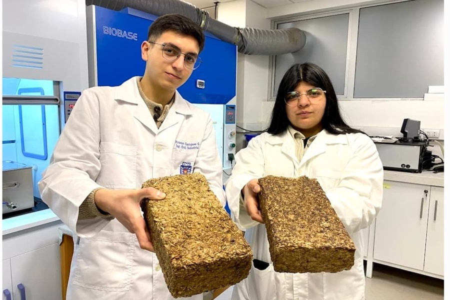 Leña ecológica y pellets reciclados: Inventos para calefaccionar sin contaminar el sur de Chile