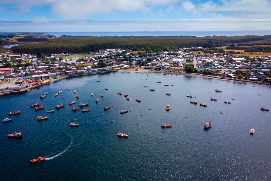 Artesanales entre Valparaíso y Los Lagos serán apoyados con mini plantas de procesamiento de pescado