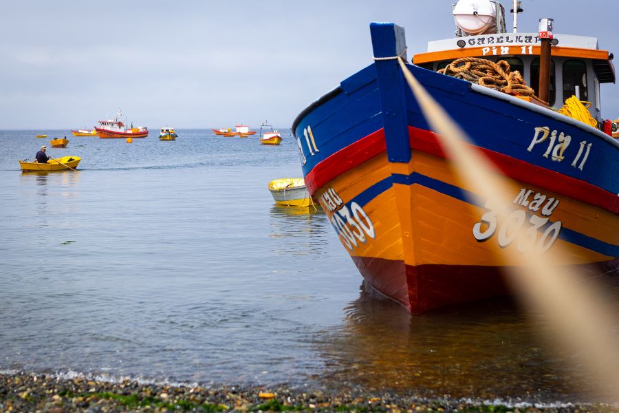 Pescadores artesanales: Industria miente al asegurar que cambiar fraccionamiento afectaría empleo