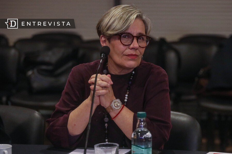 Lorena Fries (FA): “Carabineros no tiene la formación para enfrentar la nueva dinámica criminal”