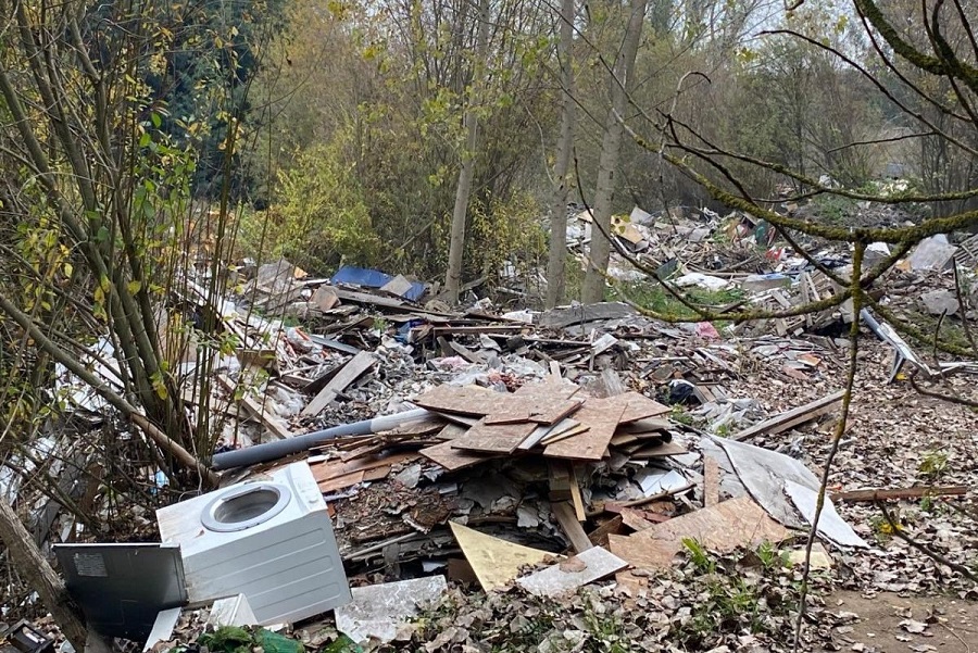 Humedales y santuarios como vertederos ilegales: Autoridades luchan contra la mafia de la basura