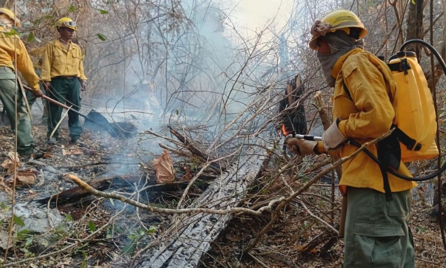 Gobierno de Bolivia declara "emergencia nacional" por los incendios forestales