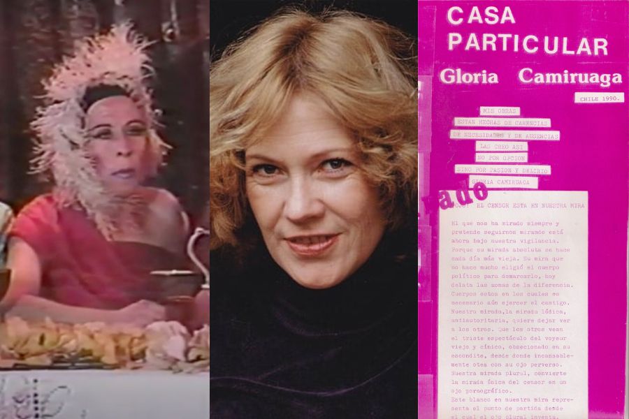 La cineasta experimental que narró el destape de los 90' con las Yeguas del Apocalipsis y Damiela Eltit