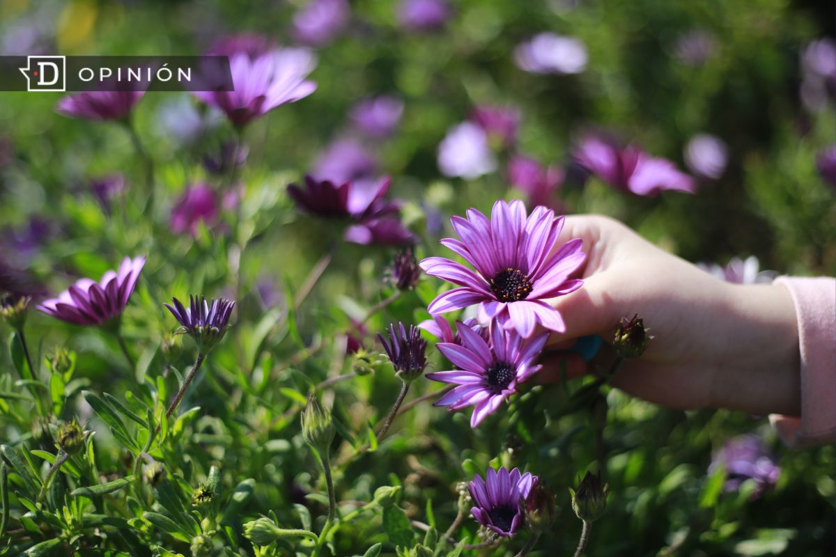 El significado de la primavera y sus alcances en la salud mental