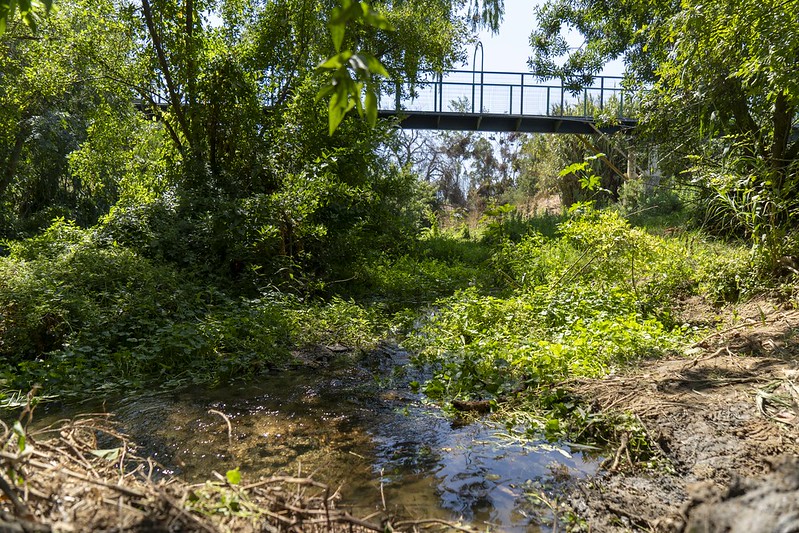 Quilpué avanza en la protección ambiental con nueva ordenanza de humedales