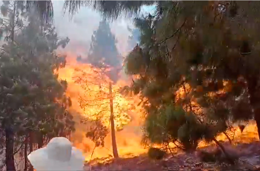 Incendios forestales en Perú causan gran: La cifra de muertos subió a 20 personas