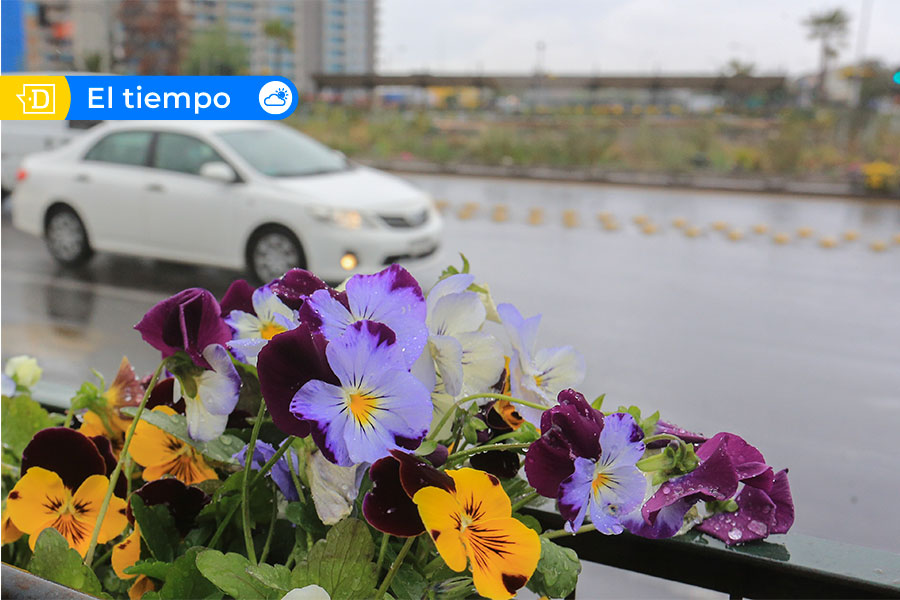 La primavera llegará con lluvia: Las regiones que tendrán preocupaciones este domingo