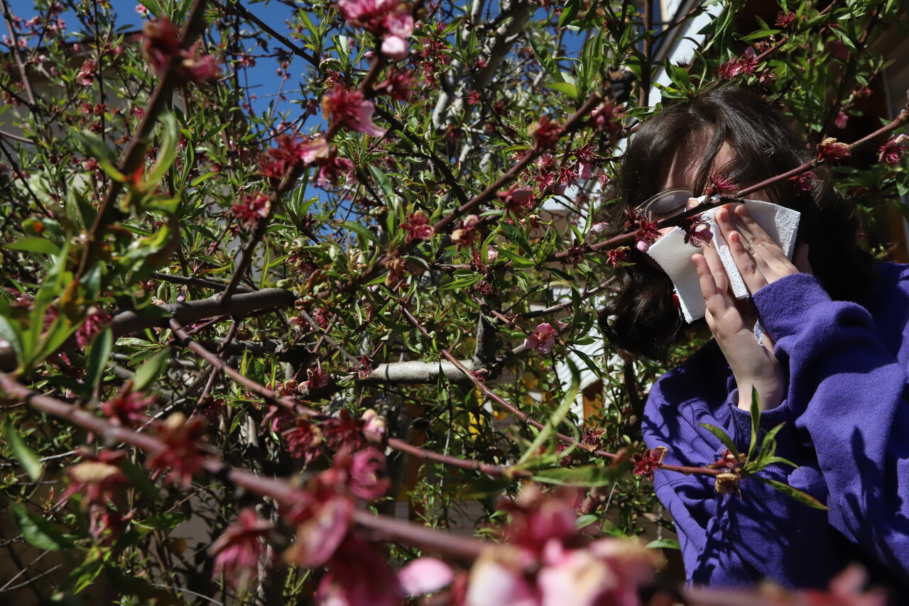 Bienvenida primavera: ¿Qué conductas ayudan a disminuir los efectos de la alergia?