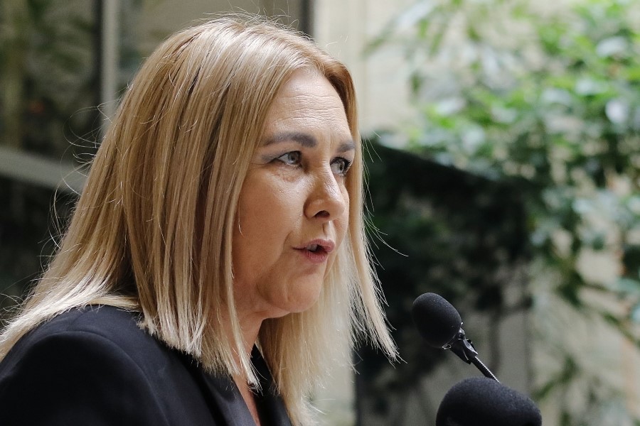 “Intenta instalar el cahuín penca”: Pamela Jiles se quiso burlar de diputados oficialistas y recibió feroz troleo