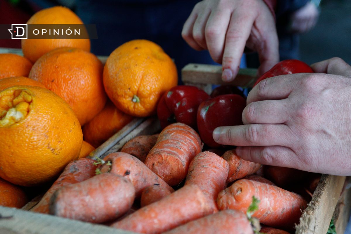 Resiliencia y sostenibilidad alimentaria: Perdemos casi un tercio de los alimentos