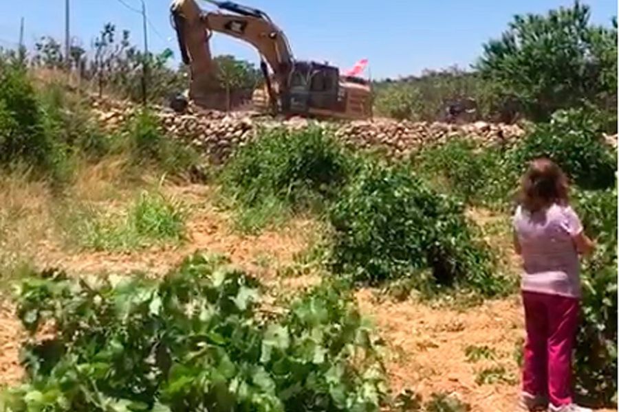 Nuevo asentamiento israelí amenaza propiedades de chilenos en valle agrícola de Cisjordania