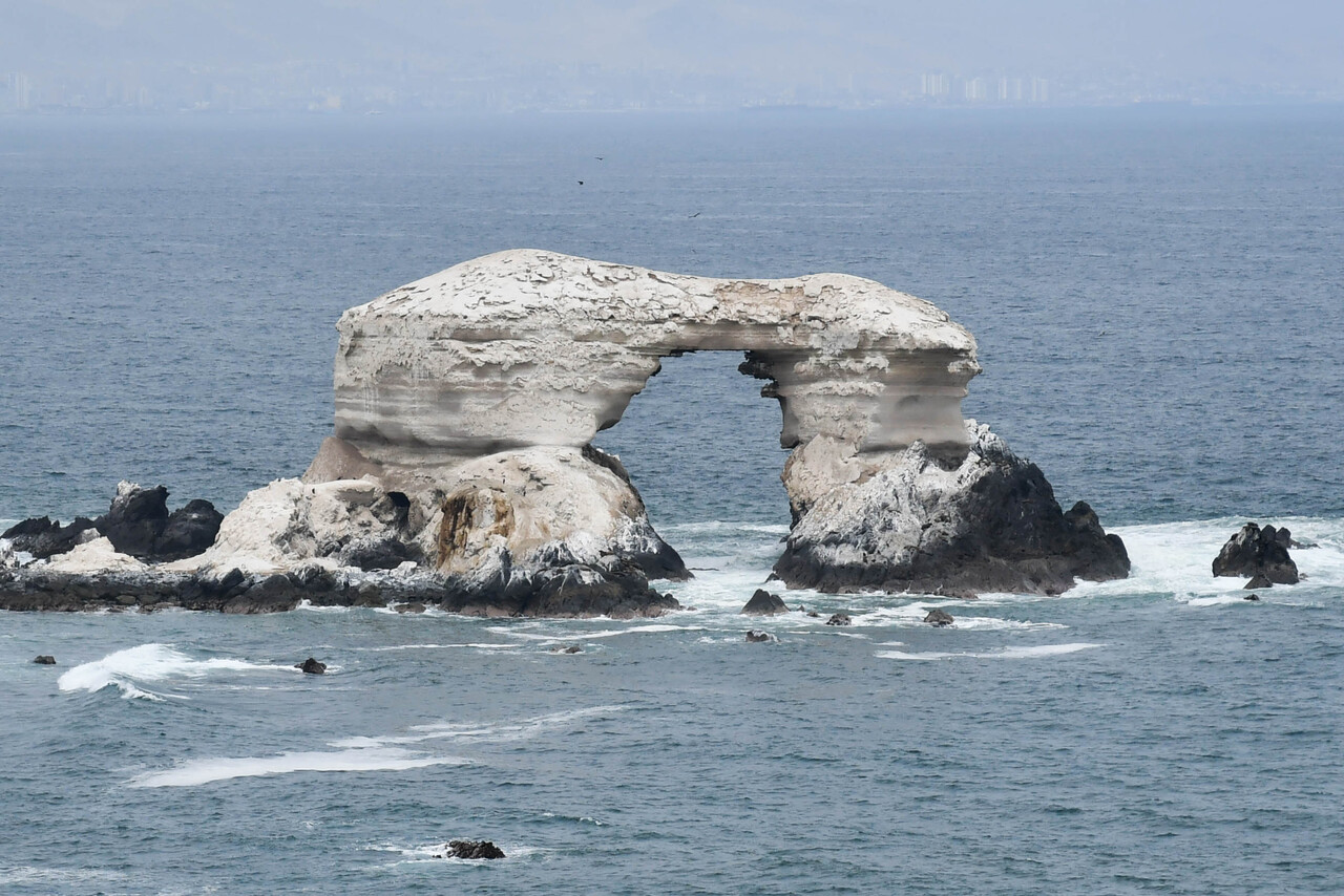 Elecciones 2024: Estos son todos los candidatos para la Región de Antofagasta