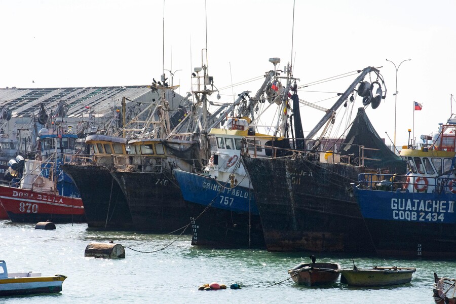 Pescadores de papel: Denuncian mecanismo que permitió a industriales acaparar la pesca de la merluza