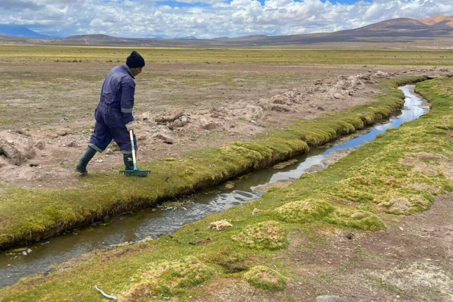 Comunidades del altiplano replican técnica ancestral y rehabilitan humedales de altura para regar