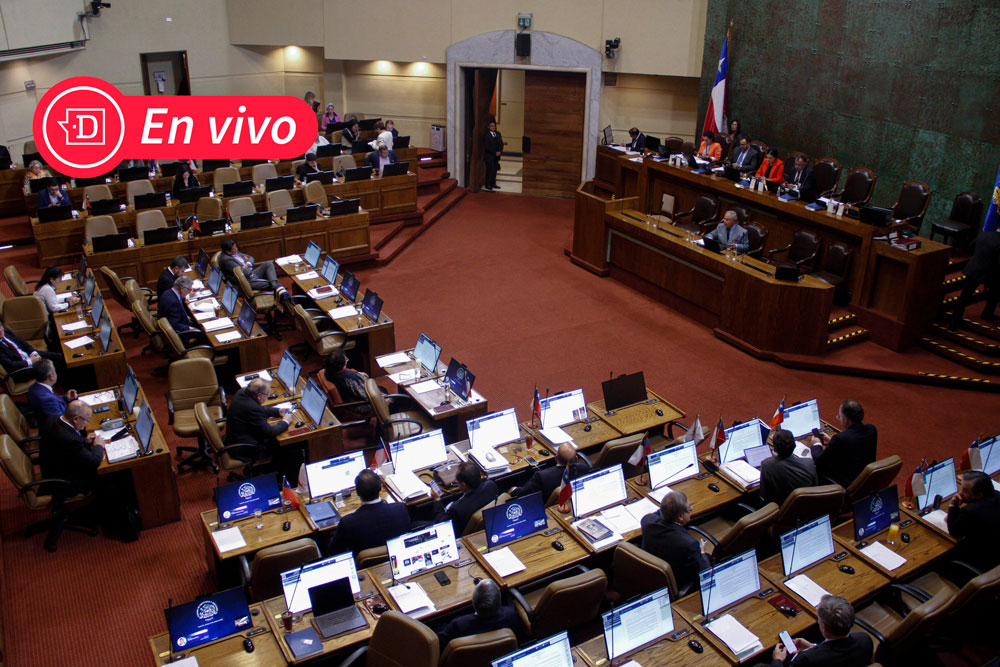 EN VIVO| Acusación constitucional contra Ángela Vivanco se discute en la Cámara de Diputados