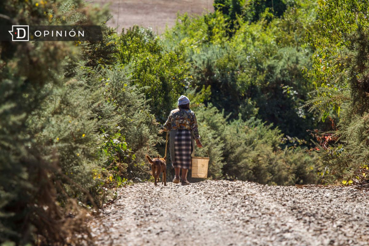 Día internacional de las mujeres rurales: Aportan la mitad del alimento del planeta