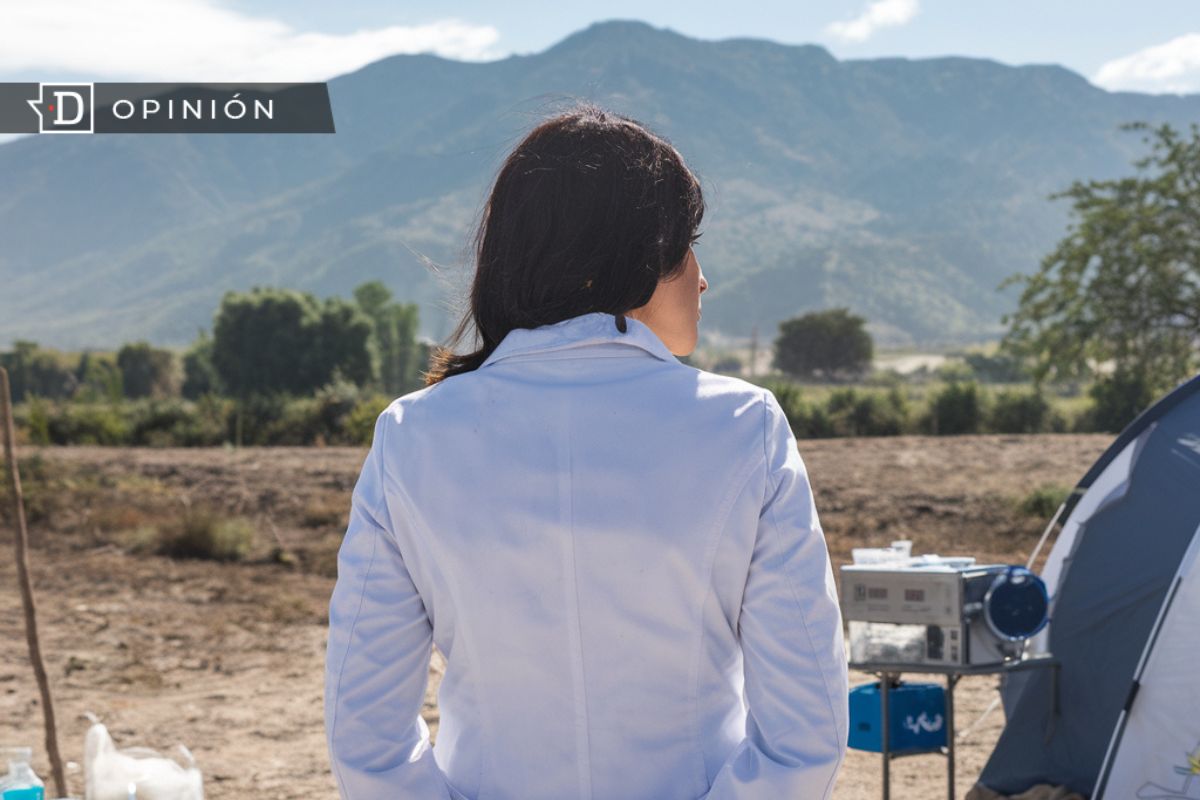 Cine y medicina: Fuente de historias para reflexionar la medicina rural