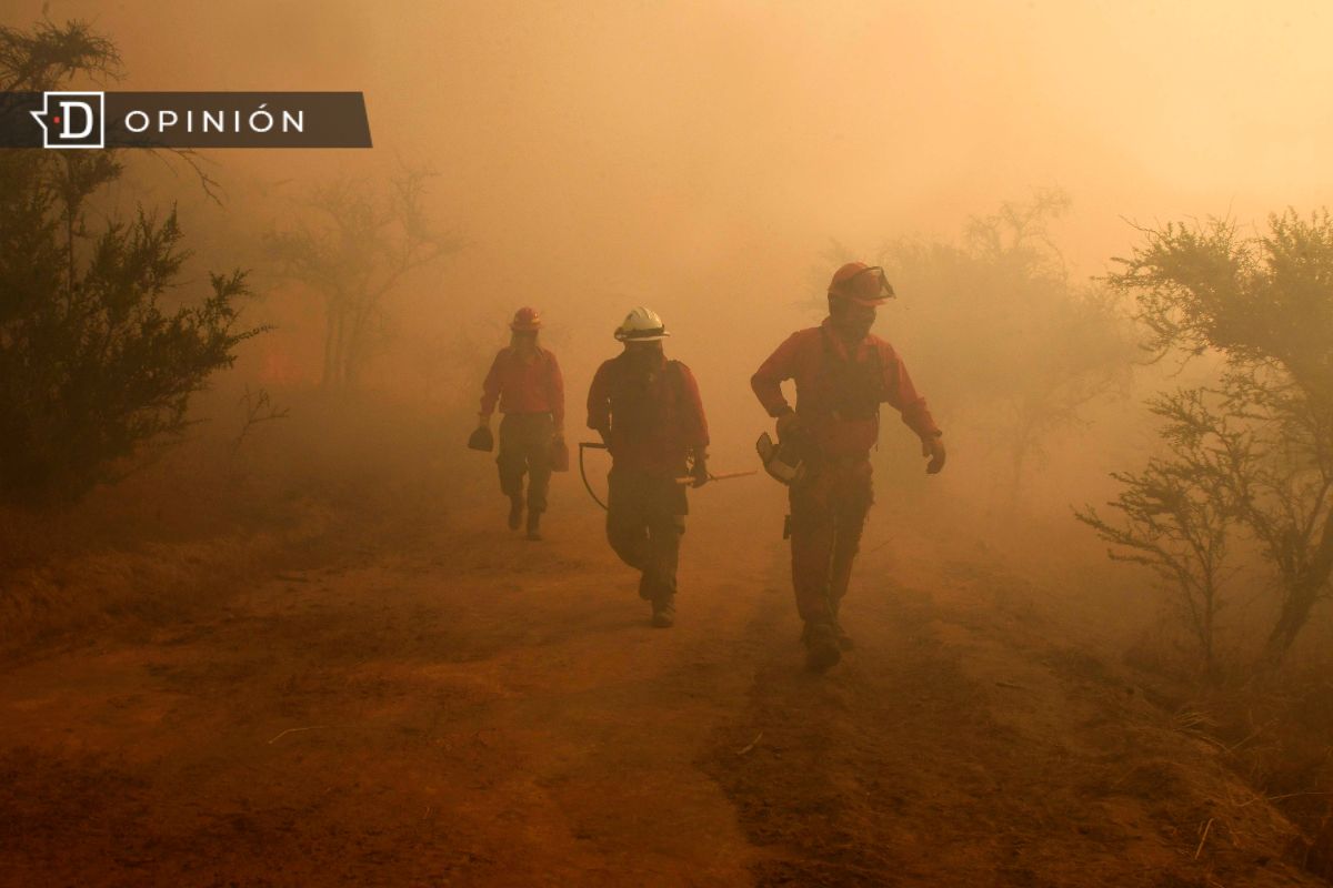 El desafío forestal: SERNAFOR debe ser más que solo un cambio de nombre de CONAF