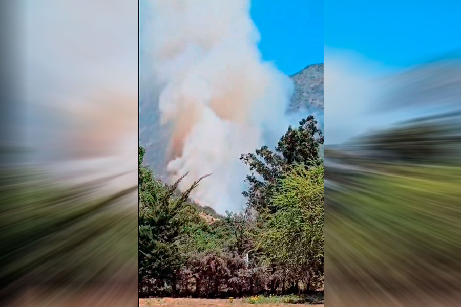 VIDEO| Alerta Amarilla en Paine por incendio forestal de envergadura: Se dirige a viviendas