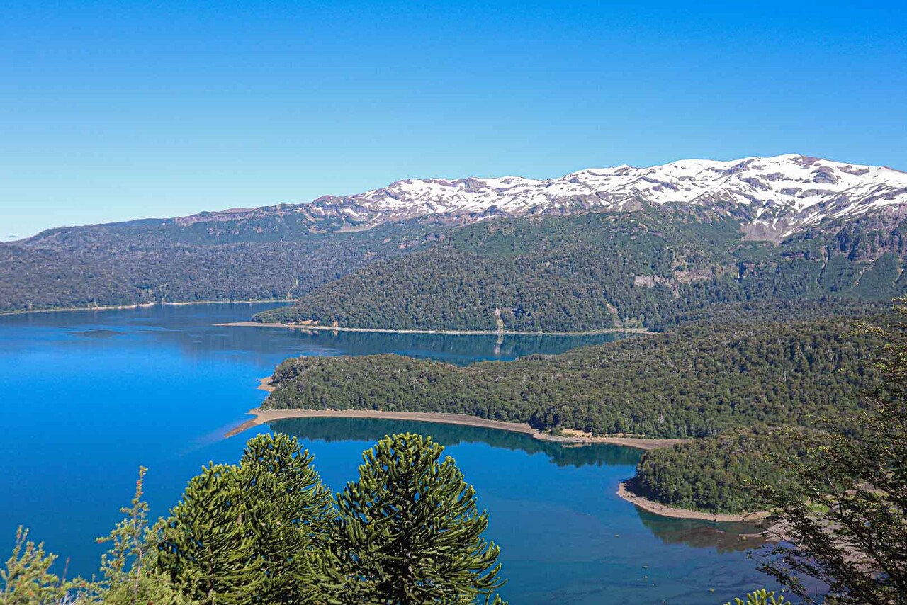 Viuda de Douglas Tompkins busca concretar el gran sueño del filántropo: Conectar los parques de Sudamérica