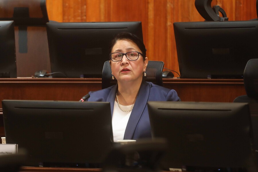 De subrogante a titular, y su quiebre con Bermúdez: Descifrando a Dorothy Pérez, nueva contralora general