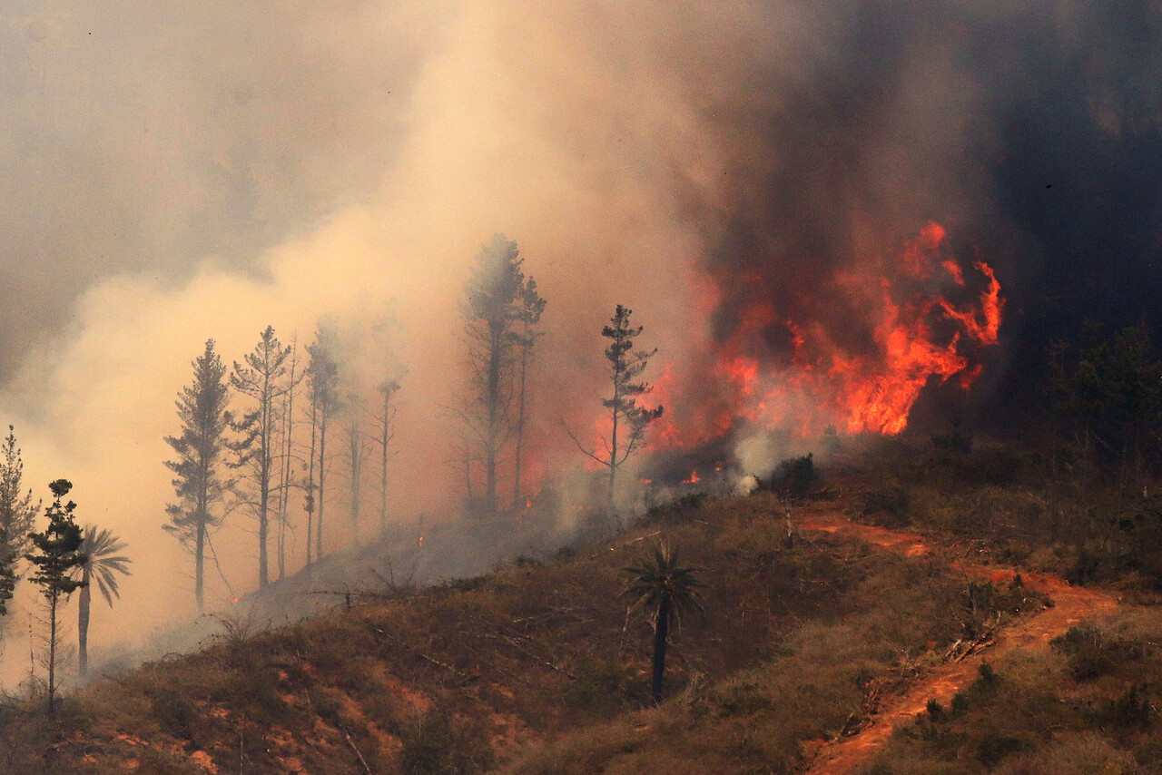 Botón Rojo: Las 22 comunas de la zona central en alerta por peligro de incendios forestales