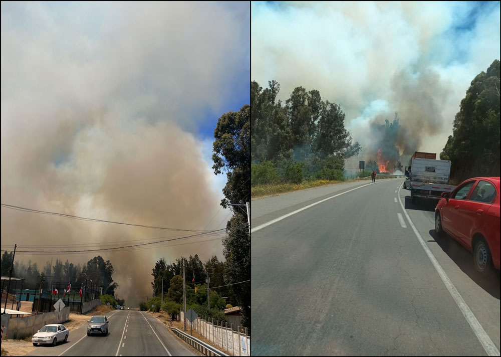 Alerta Roja en Quilpué: Incendio forestal de rápida propagación obliga a evacuar vía Alerta SAE