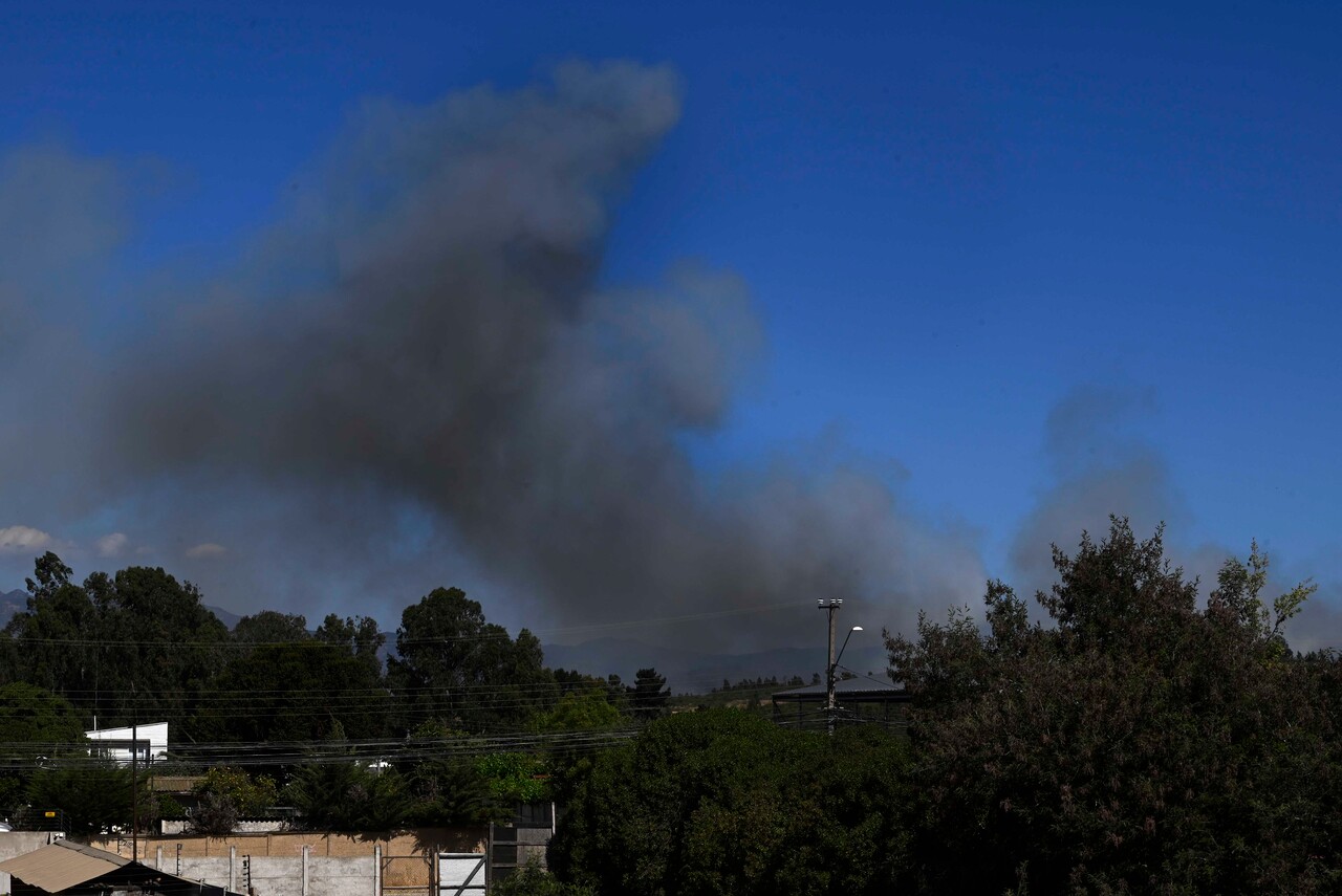 Alerta Roja por incendios forestales: Senapred ordena evacuar zonas de Quilpué y Santo Domingo