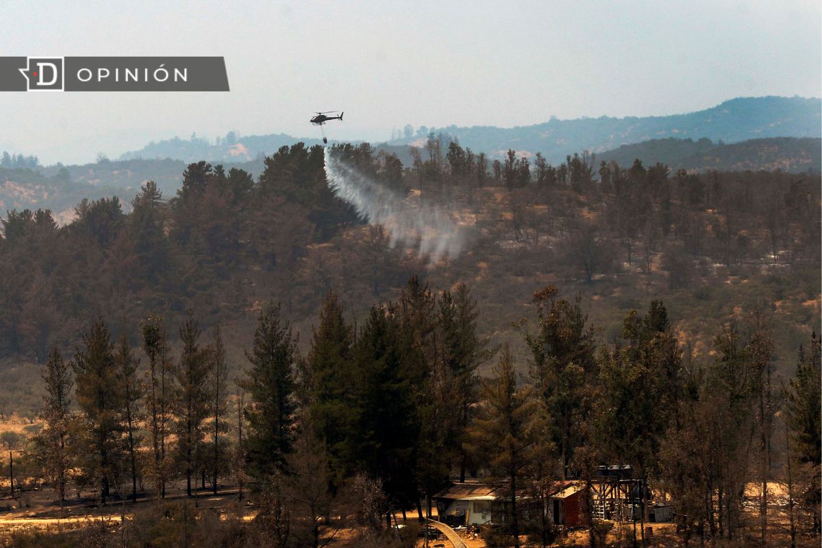 Un nuevo modelo forestal para enfrentar desastres climáticos