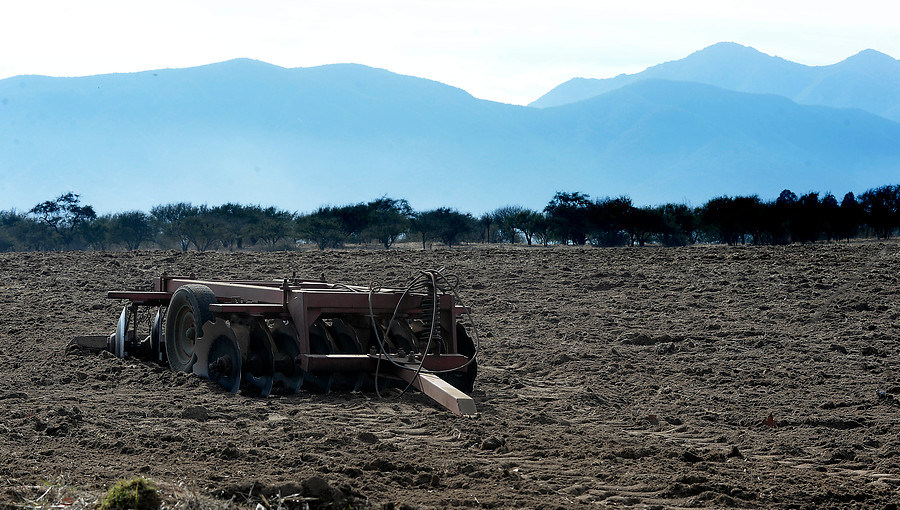 Mujeres profesionales muestran más interés en hacer voluntariados en ayuda a comunidades rurales