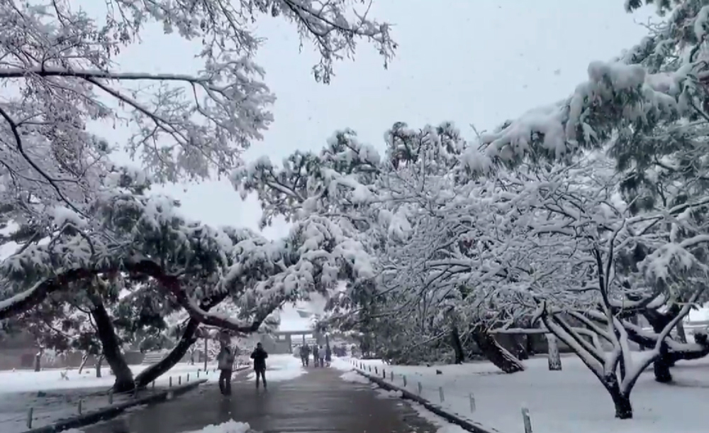 VIDEO| Así amaneció Seúl tras las históricas nevadas que ha sufrido: Se contabilizan 5 muertos