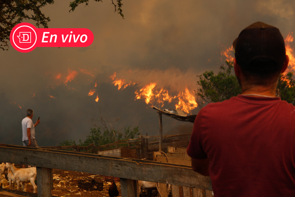 EN VIVO| Formalización de los cuatro nuevos detenidos por el mega incendio de Viña del Mar