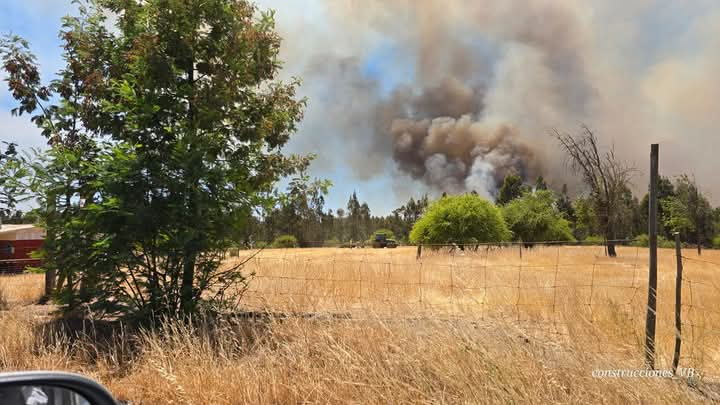 Alerta Roja en Marchigüe, Región de O’Higgins: Incendio forestal de rápida expansión amenaza viviendas