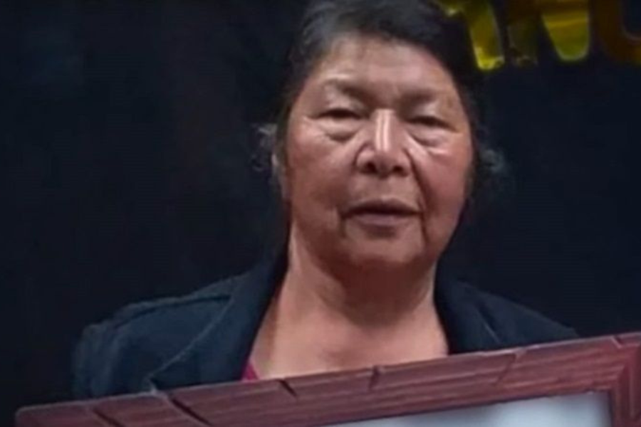 Extraña desaparición de ambientalista mapuche: Habría sido amenazada por empresario local