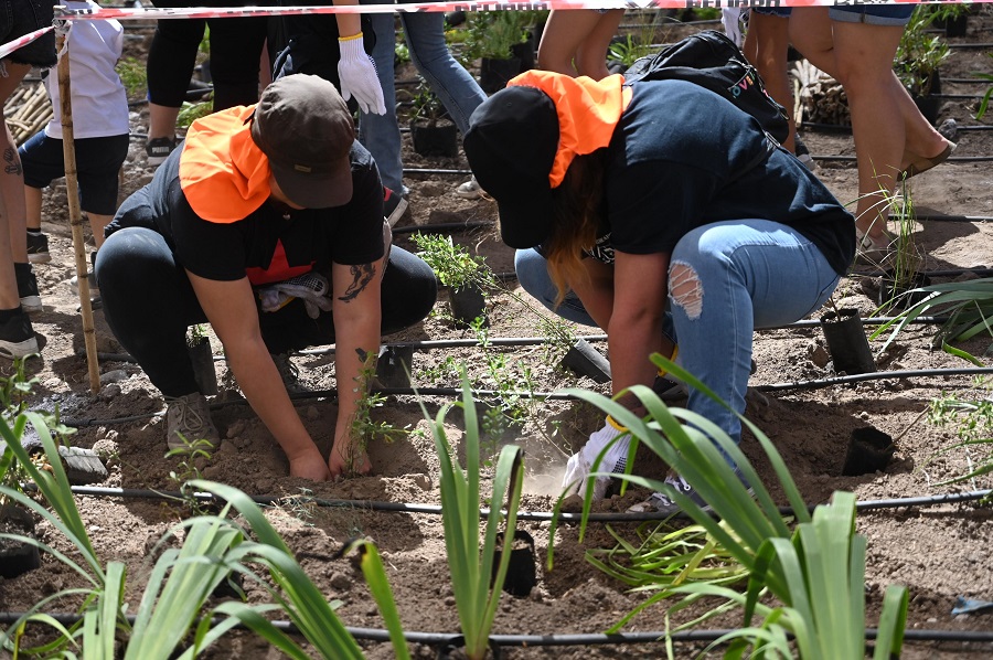 Micro bosques nativos florecen en 33 puntos de Santiago: Plantarán 100 mil árboles en dos años