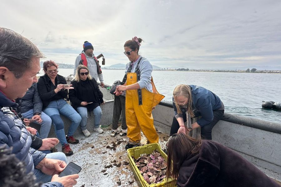 Productos del mar más frescos y baratos: Unión de mujeres pescadoras de Tongoy, Terminal Pesquero y Seremi de Economía buscan lograrlo