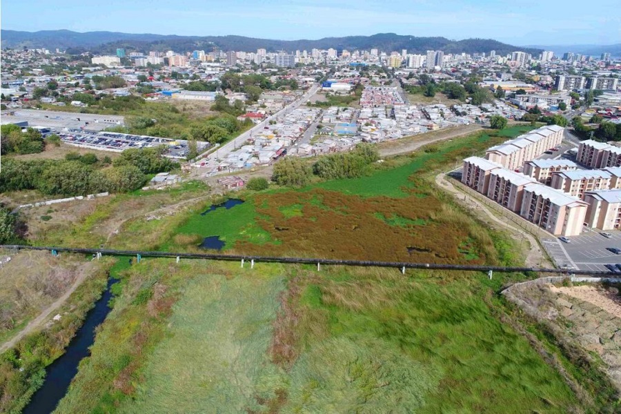 Viviendas sociales a construirse sobre humedal Paicaví en Concepción desatan debate vecinal