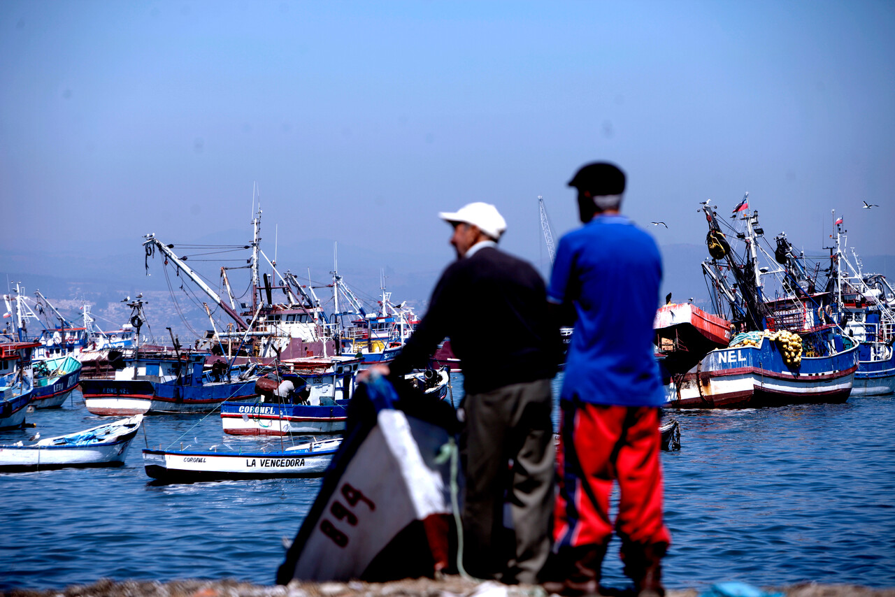 Pescadores critican a senador Saavedra (PS) por dichos contra Fraccionamiento: “Es deshonesto intelectualmente”