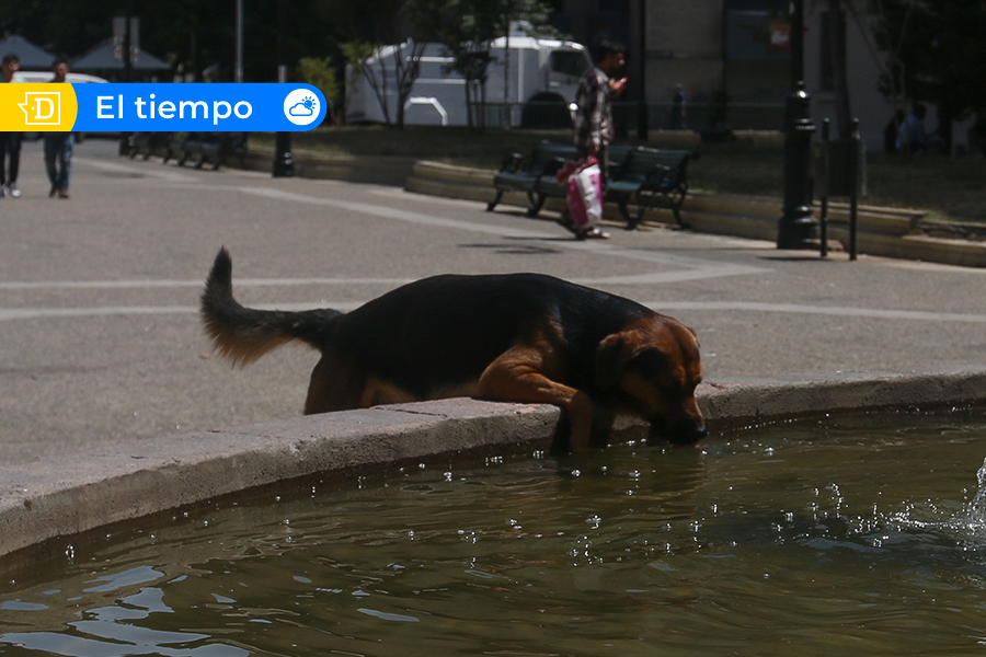 Aviso Meteorológico para la zona central: Hasta 35°C se esperan en Santiago para este jueves